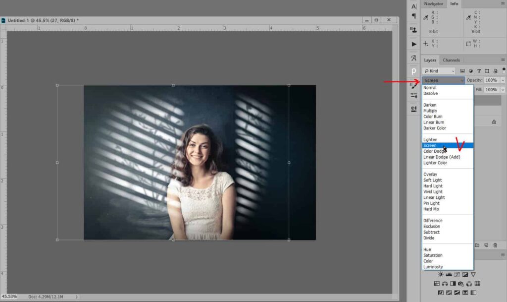 1.2 1024x609 - Light and shadows JPG overlay
