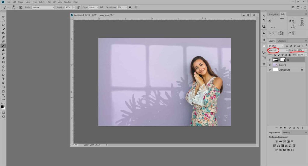 2.2 1024x555 - Light and shadows JPG overlay