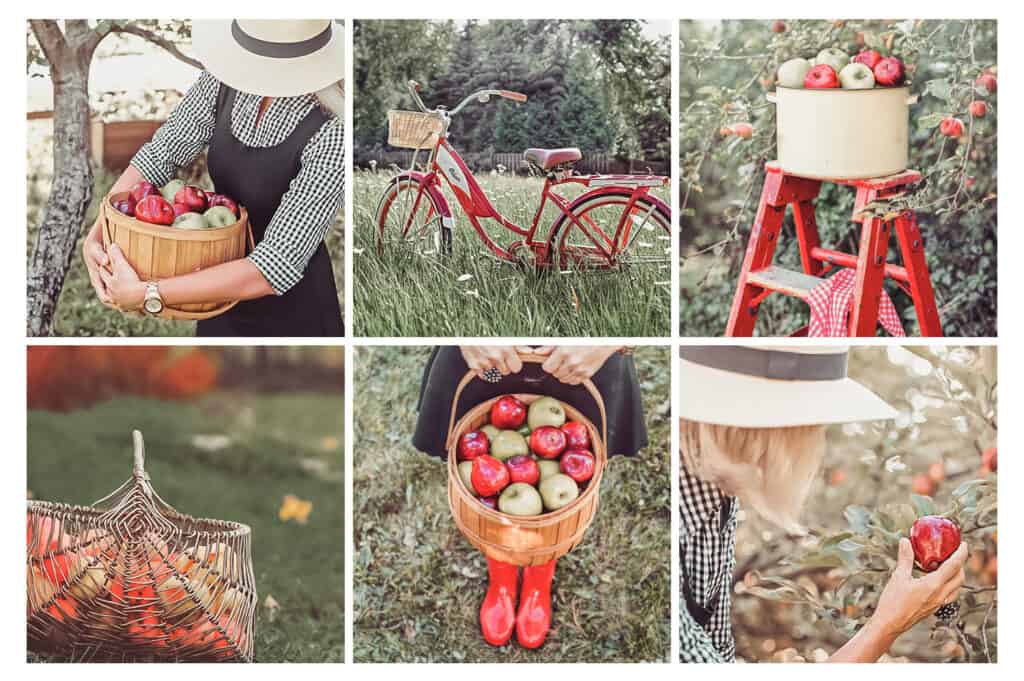 Cristie Lightroom Mobile and Desktop Presets Cristie 2 1024x681 - Cristie Lightroom Mobile and Desktop Presets