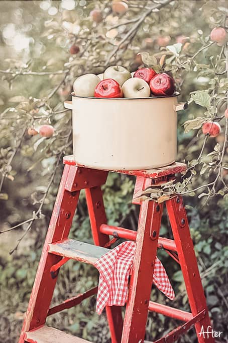 Cristie Lightroom Mobile and Desktop Presets Cristie 7.2 - Cristie Lightroom Mobile and Desktop Presets