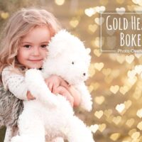 Light and Shadows. Window overlays