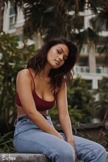 Liza Lightroom Desktop and Mobile Presets Liza 9.1 - Liza Lightroom Desktop and Mobile Presets