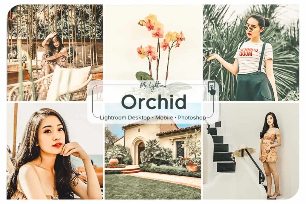 Orchid 1 1024x681 - Orchid Lightroom Desktop and Mobile Presets