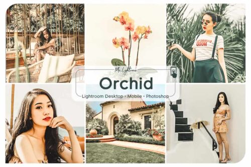 Orchid Lightroom Desktop and Mobile Presets