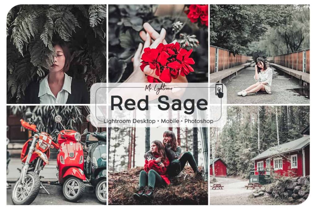 Red Sage 1 1024x681 - Red Sage Lightroom Desktop and Mobile Preset
