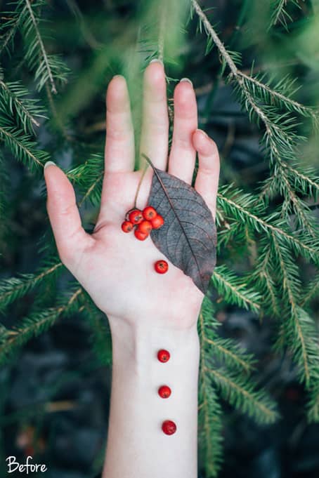 Red Sage 5.1 - Red Sage Lightroom Desktop and Mobile Preset