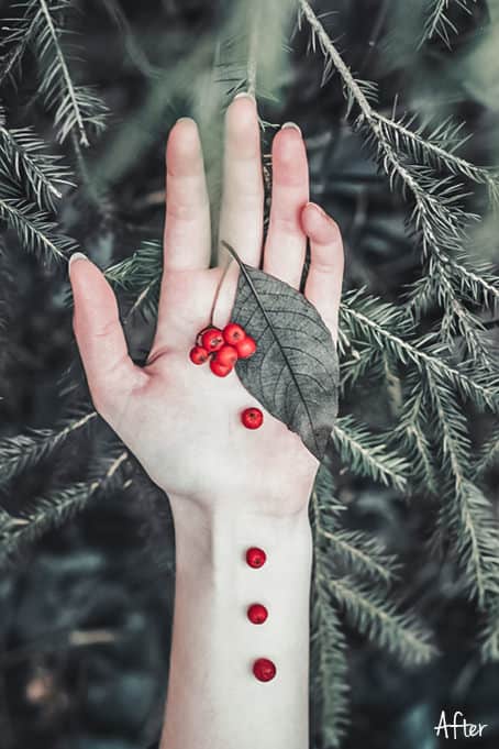 Red Sage 5.2 - Red Sage Lightroom Desktop and Mobile Preset