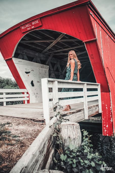 Red Sage 8.2 - Red Sage Lightroom Desktop and Mobile Preset