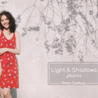 Light and Shadows. Window overlays
