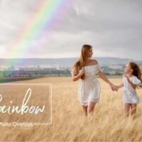 36 Gold Hearts Bokeh Overlays