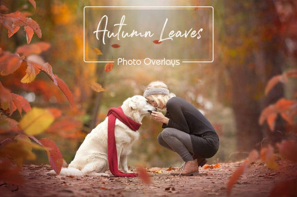 prv1 2 1024x681 - Autumn Leaves Overlays