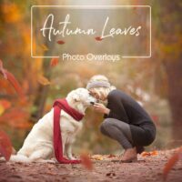 Light and Shadows. Window overlays