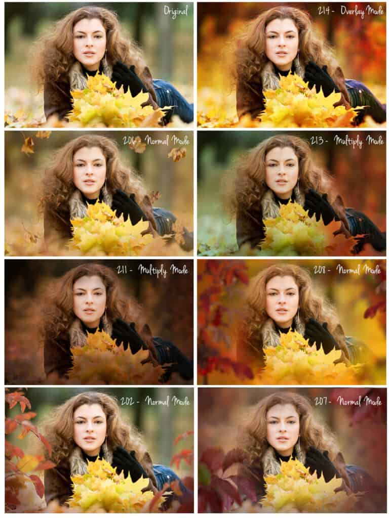 prv10 770x1024 - Autumn Leaves Overlays