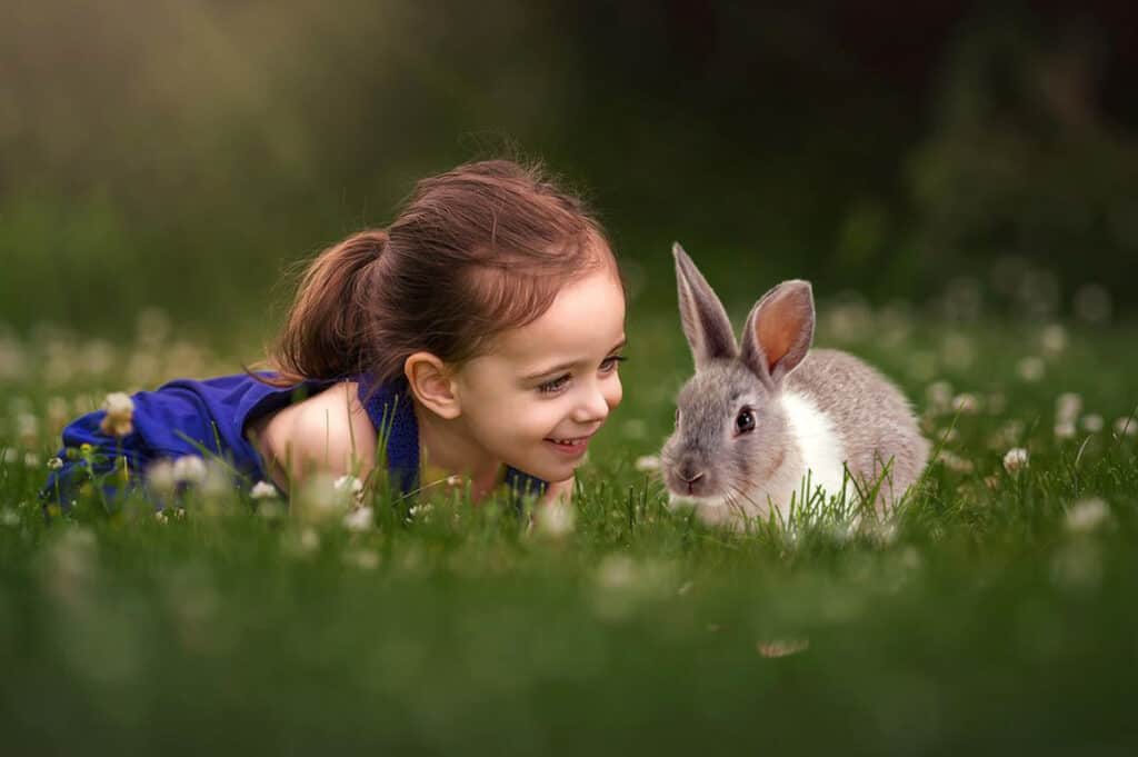 prv3 1024x681 - Spring Bunnies - Easter overlays