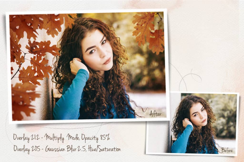 prv3 2 1024x681 - Autumn Leaves Overlays