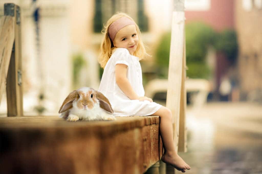 prv4 1024x681 - Spring Bunnies - Easter overlays
