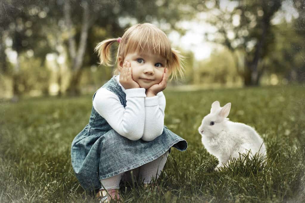 prv5 1024x681 - Spring Bunnies - Easter overlays