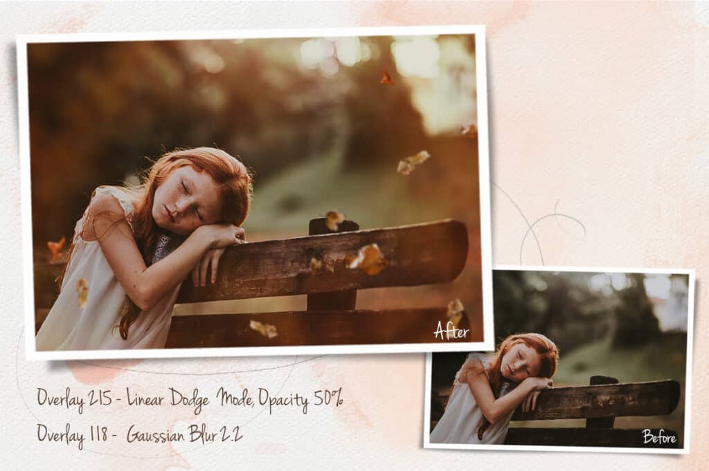 prv8 1 1024x681 - Autumn Leaves Overlays