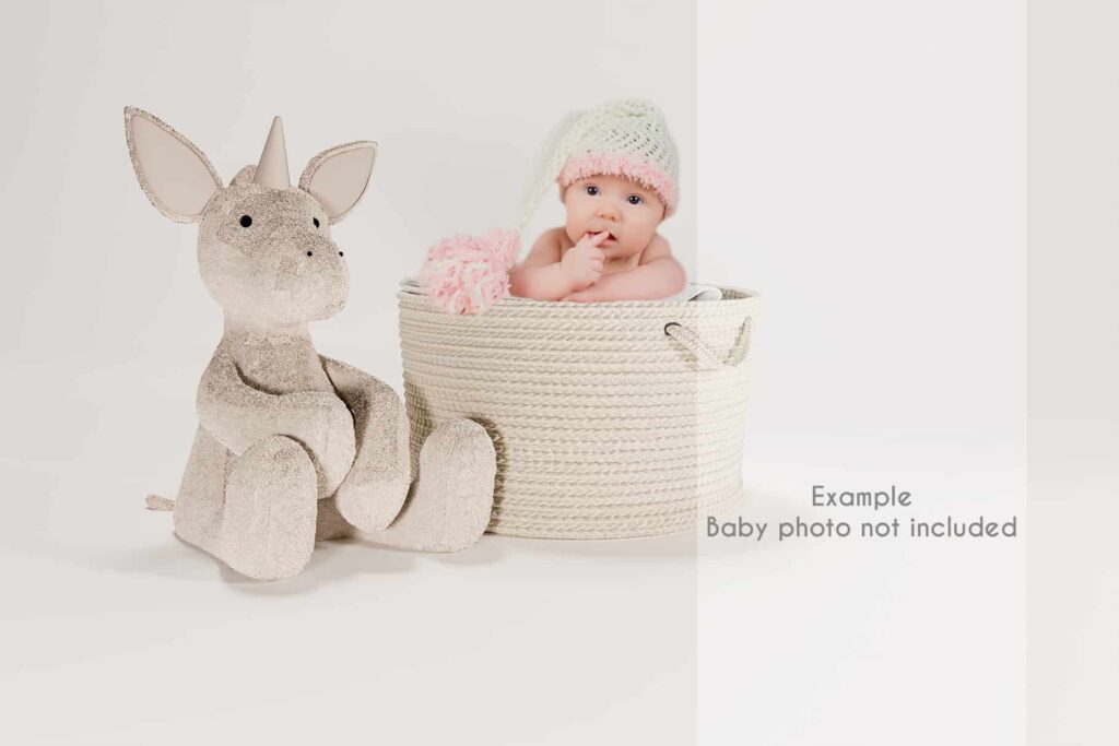prv2 1024x683 - Hamper and unicorn mockup. Digital Backdrop