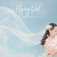 Light and Shadows. Window overlays