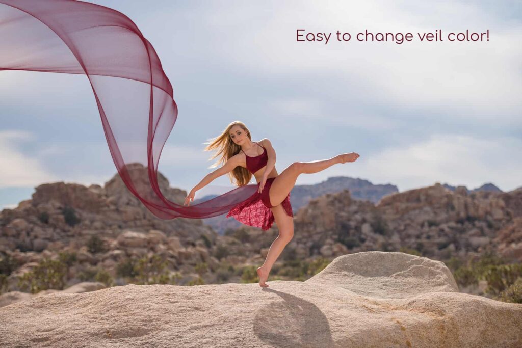 ptv 04 1024x683 - Flying Veil Overlays