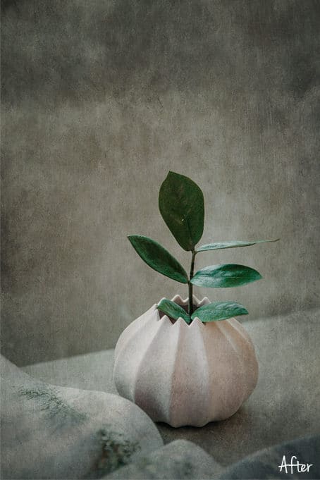 Art Texture 44.2 - Fine Art Texture SET3