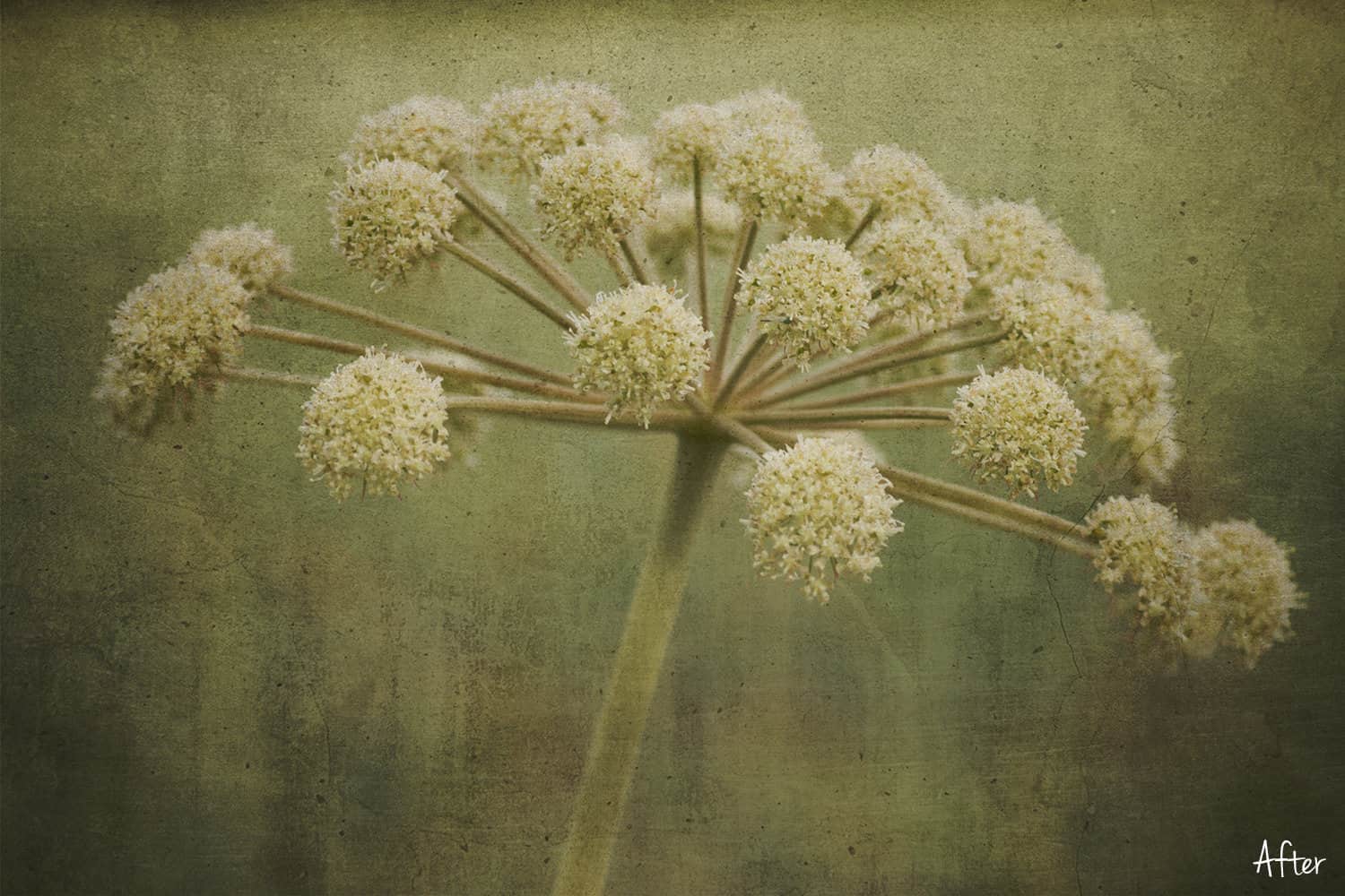 Art Texture 45.2 - Fine Art Texture SET3