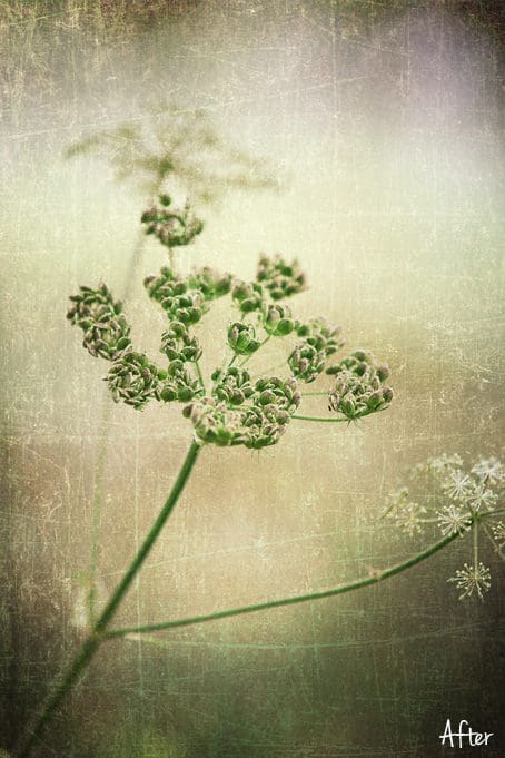 Art Texture 52.2 - Fine Art Texture SET5