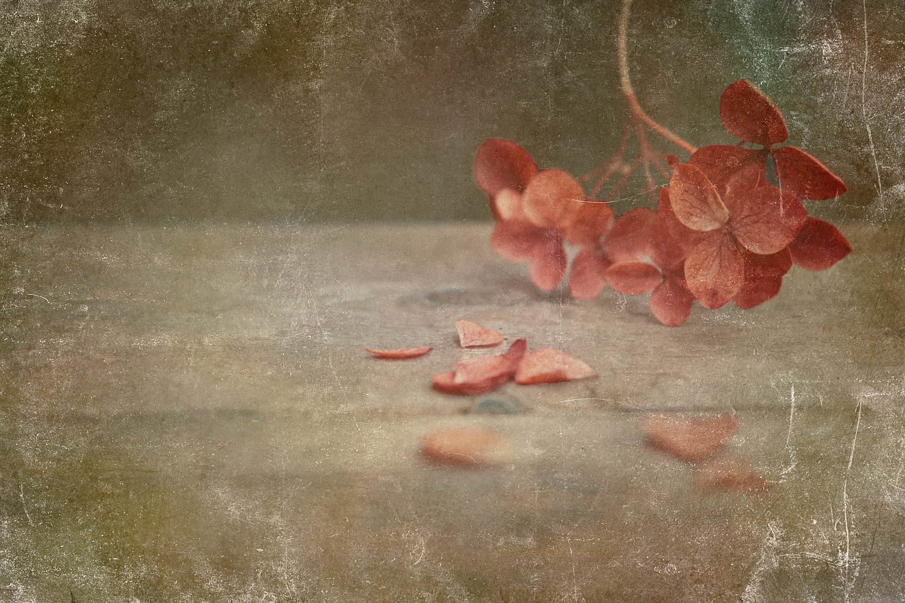 prv 4.2 - Fine Art Texture SET4