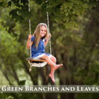 Green Branches and Leaves Overlays