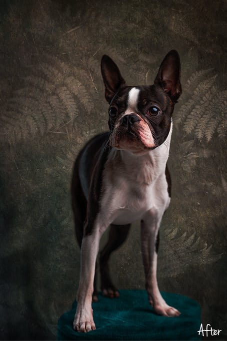 Fine Art Texture SET6 Art Texture 6.2.2 - Fine Art Texture SET6