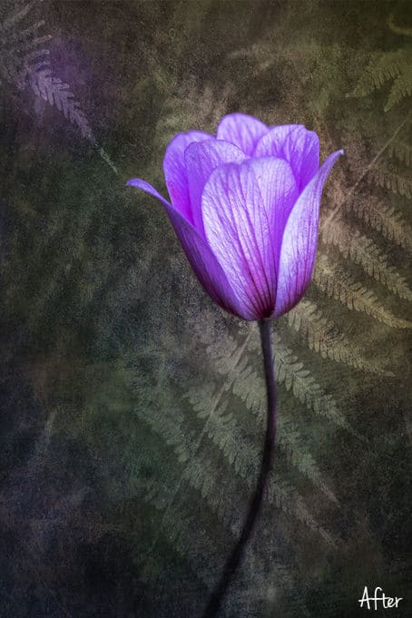 Fine Art Texture SET6 Art Texture 6.3.2 - Fine Art Texture SET6