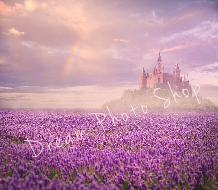 Lavender Field, Digital Background prv Lavender Field - Lavender Field, Digital Background