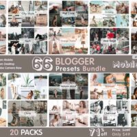 MrLightroom Lightroom Desktop and Mobile Presets bundle