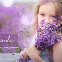 Lavender Photoshop Overlays Lavender Photoshop Overlays