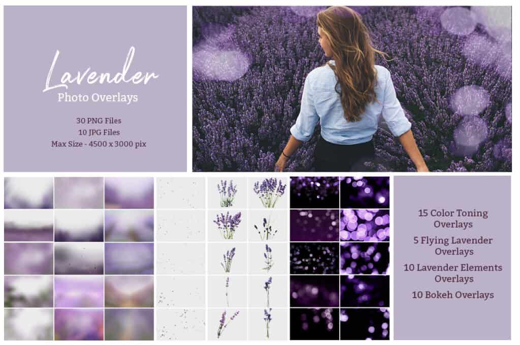 prv2 2 1024x681 - Lavender Photoshop Overlays