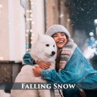 Falling Snow Photo Overlays