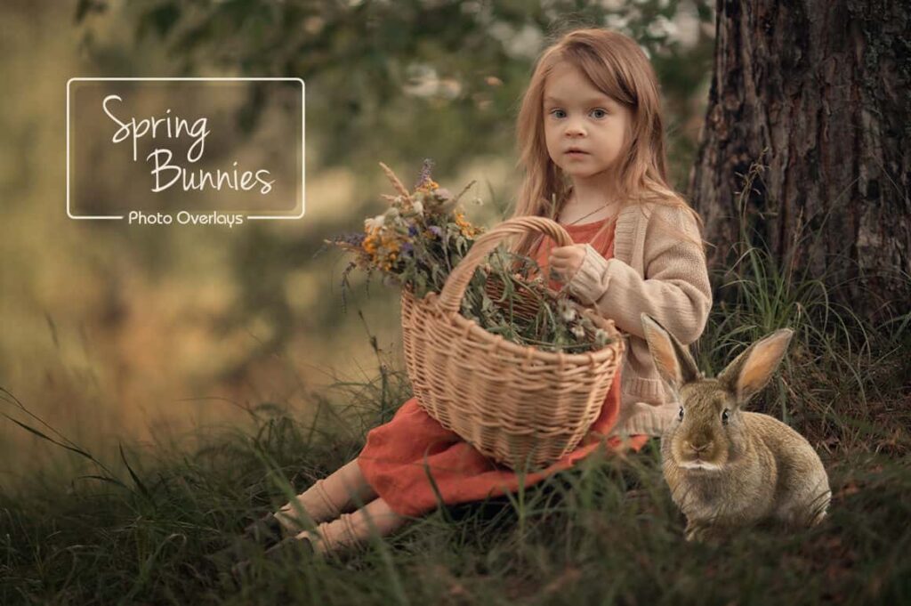 prv 11 1024x681 - Spring Bunnies - Easter overlays