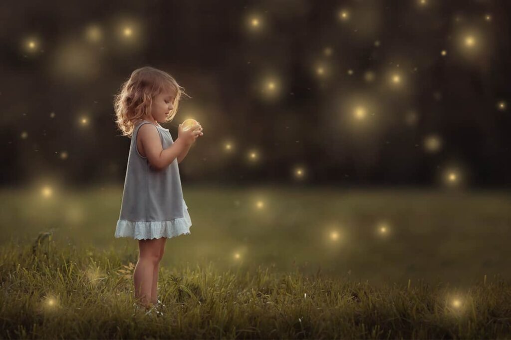 Firefly Overlays prv 4 1024x681 - Firefly Overlays