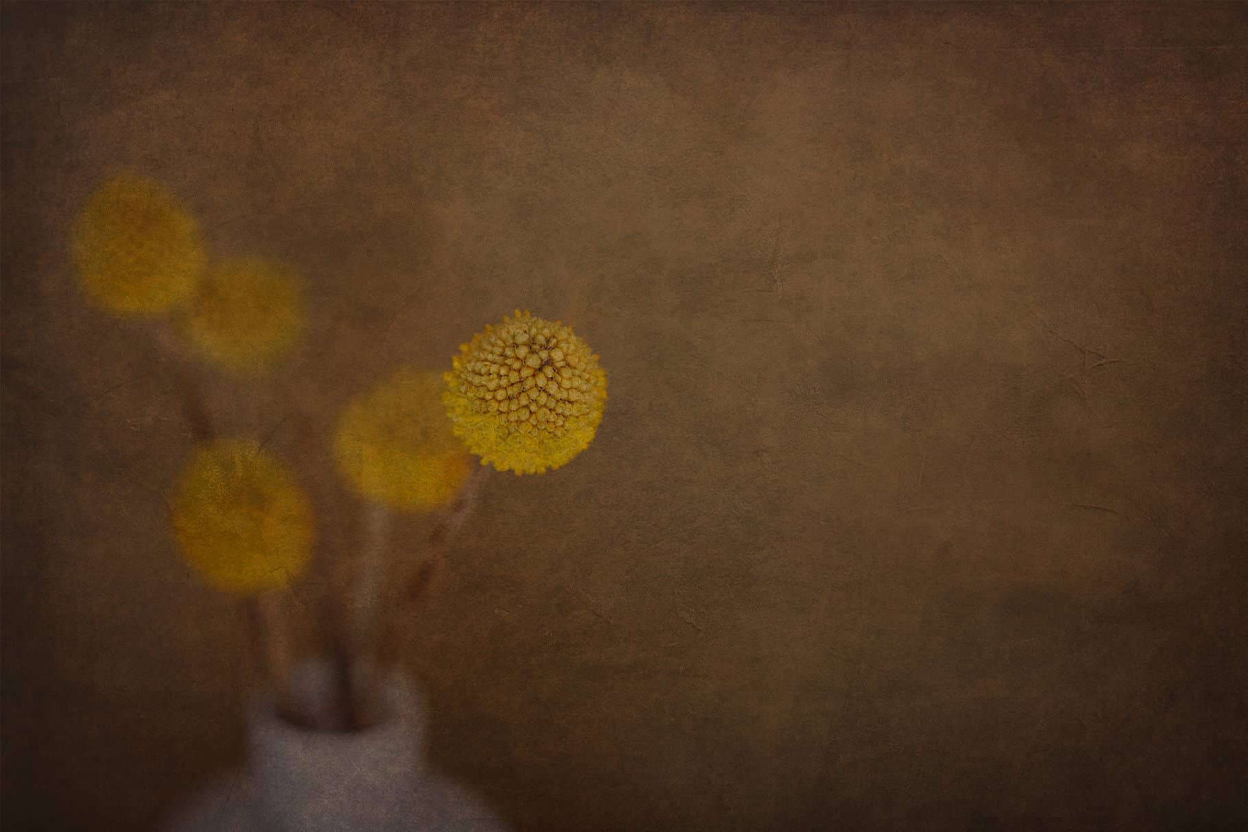 prv Art Texture 2 5.2 - Fine Art Texture SET2