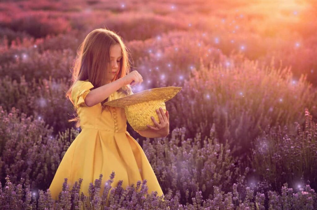 Firefly Overlays prv05 1024x681 - Firefly Overlays