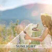 Sunlight Photo Overlays