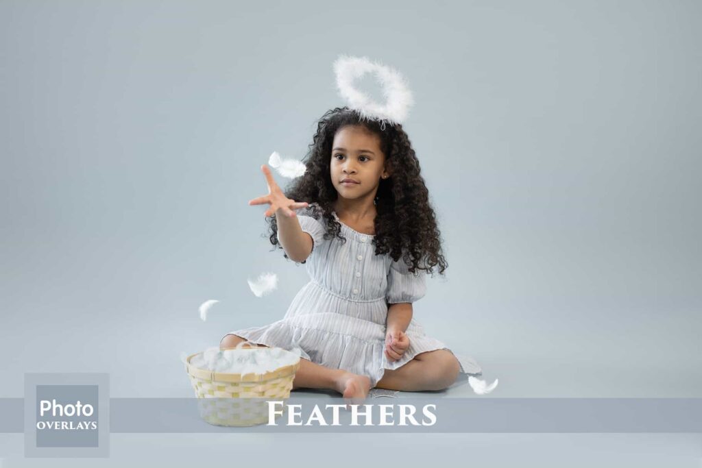 Feather Overlays Feather prv 1 1024x683 - Feather Overlays
