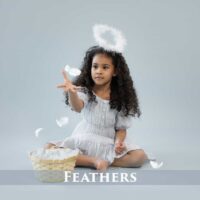 Feather Overlays Feather Overlays