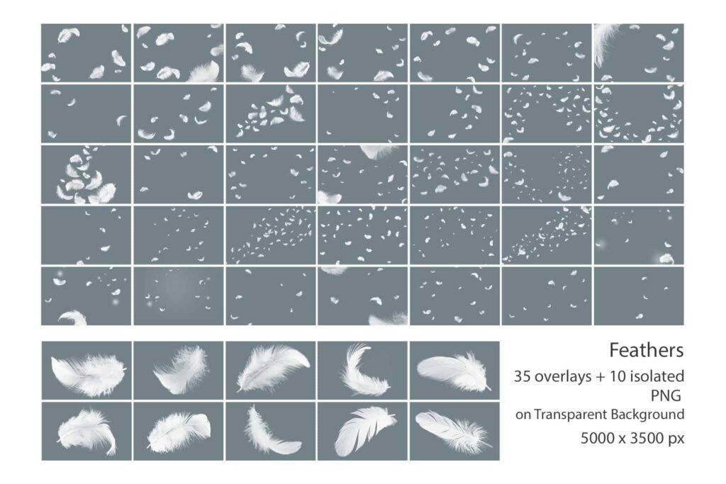 Feather Overlays Feather prv 2 1024x683 - Feather Overlays