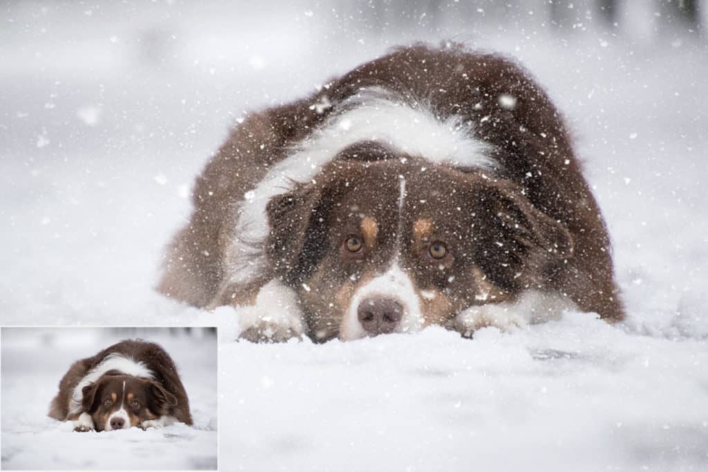 Realistic Snow prv 8 1024x683 - Realistic Snow Photo Overlays