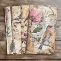 4 Botanical Bird Illustration Vintage Ephemera Background Digital Scrapbook Journal Art Bird Digital Art DIY Vintage Book Printable Decor