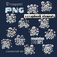 12 Vintage PNG Cliparts Floral Botanical Illustrations Set Scrapbooking Digital Flowers Transparent Journaling Collection Design Elements 12 Vintage PNG Cliparts Floral Botanical Illustrations Set Scrapbooking Digital Flowers Transparent Journaling Collection Design Elements